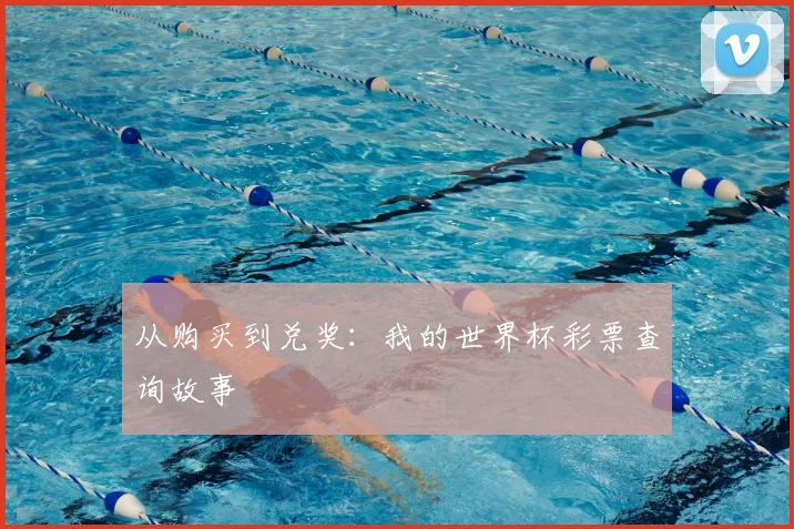 从购买到兑奖：我的世界杯彩票查询故事